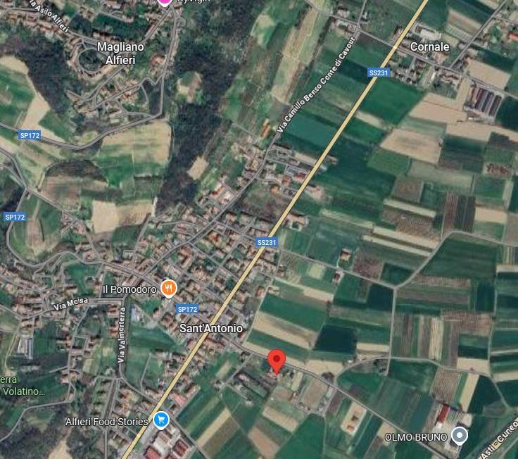immagine annuncio 4 di 9