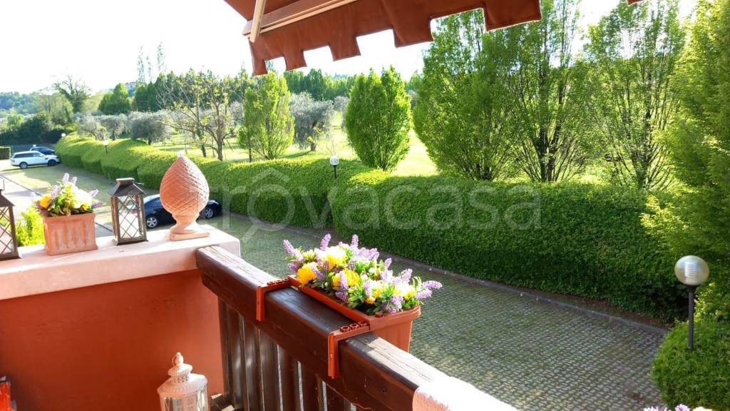 immagine annuncio 9 di 12