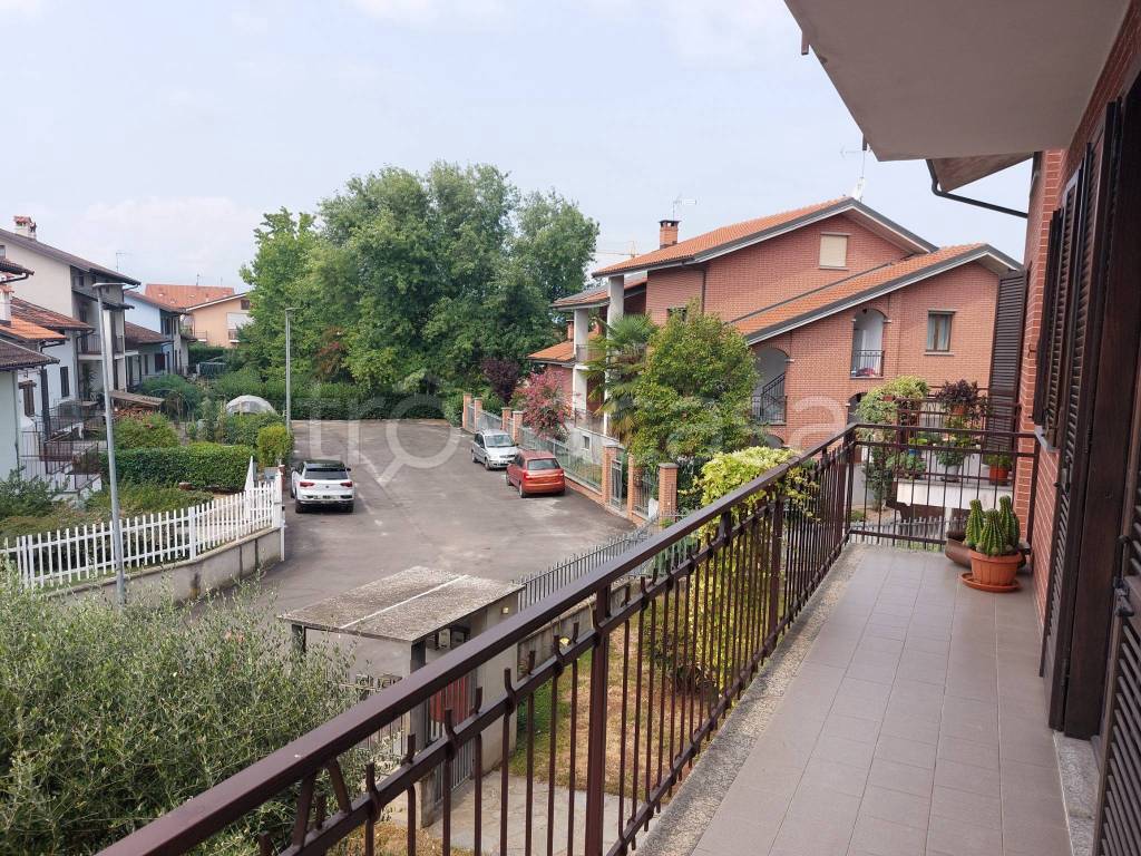 immagine annuncio 5 di 14