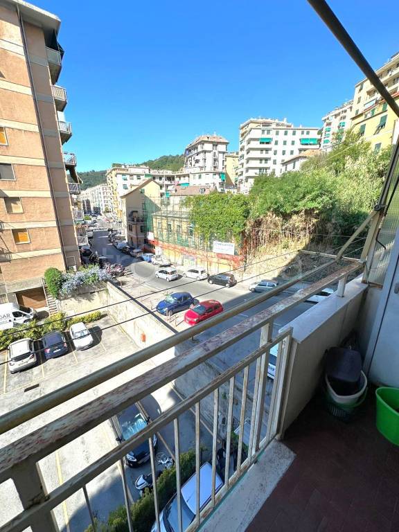 immagine annuncio 11 di 14