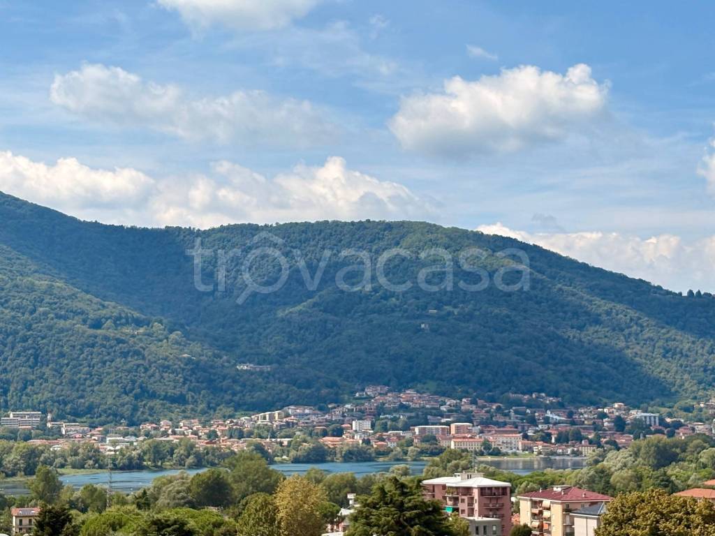 immagine annuncio 3 di 14