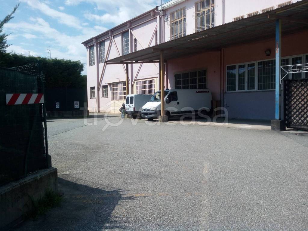 immagine annuncio 6 di 7