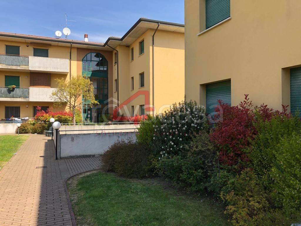 immagine annuncio 9 di 12