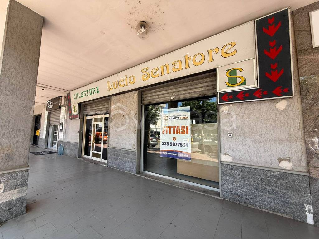 immagine annuncio 3 di 14
