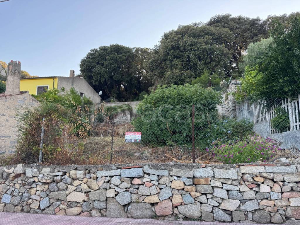 immagine annuncio 8 di 9