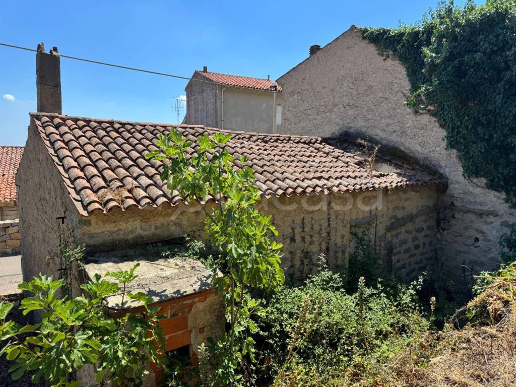 immagine annuncio 5 di 9