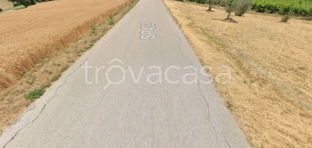 immagine annuncio 5 di 11