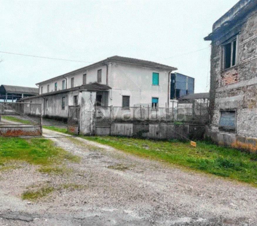 immagine annuncio 9 di 12