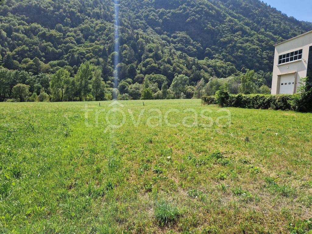 immagine annuncio 1 di 6