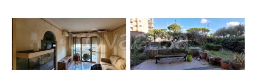 immagine annuncio 12 di 14