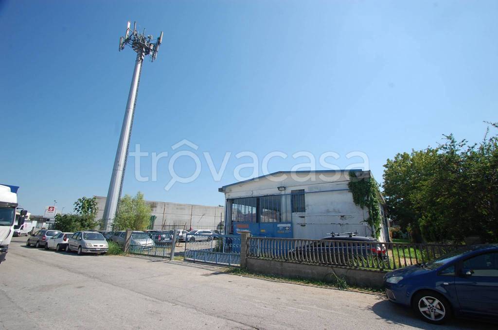 immagine annuncio 2 di 4