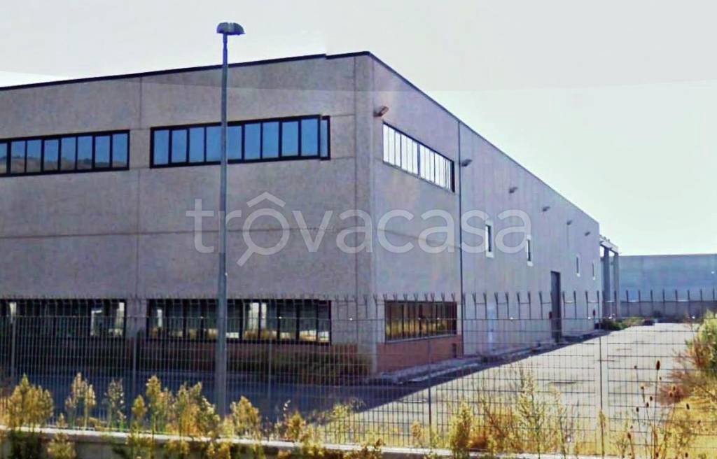 immagine annuncio 2 di 13