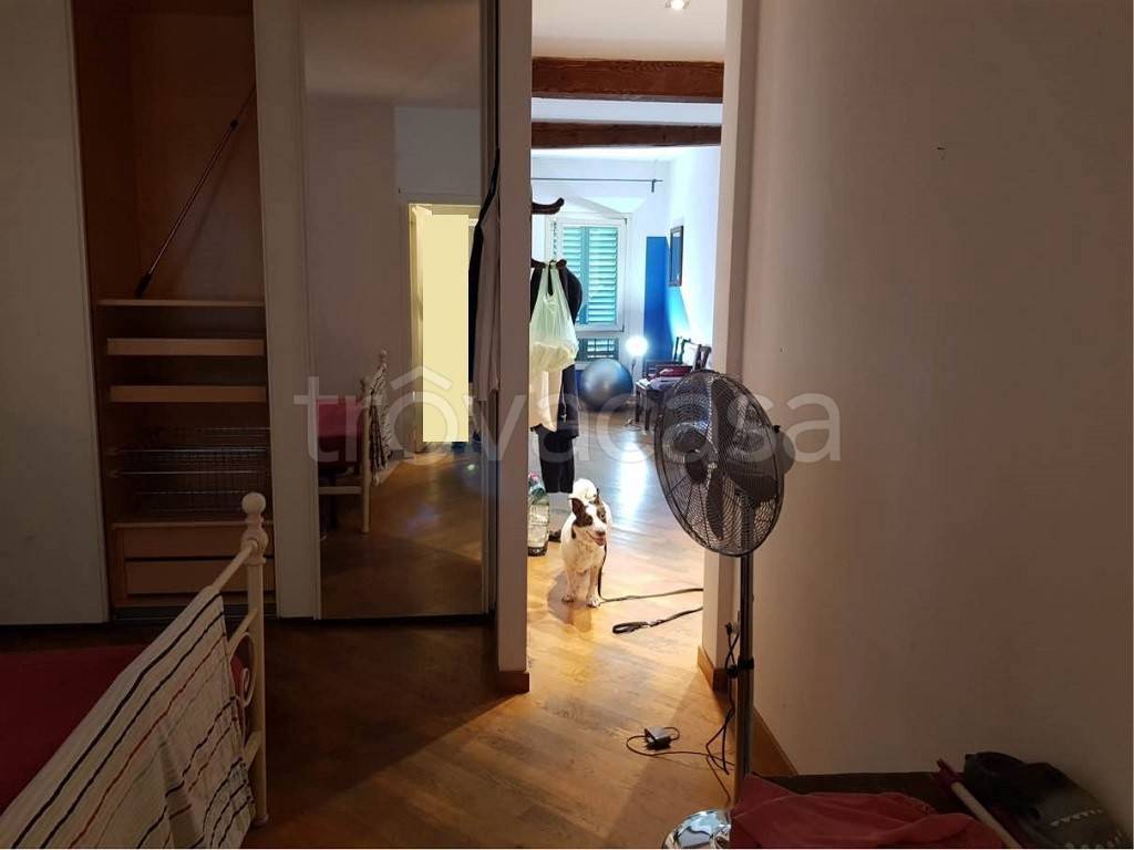 immagine annuncio 3 di 8