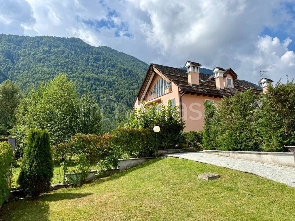 immagine annuncio 5 di 15