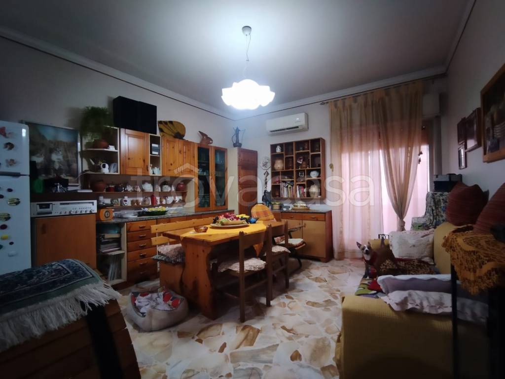 immagine annuncio 4 di 14
