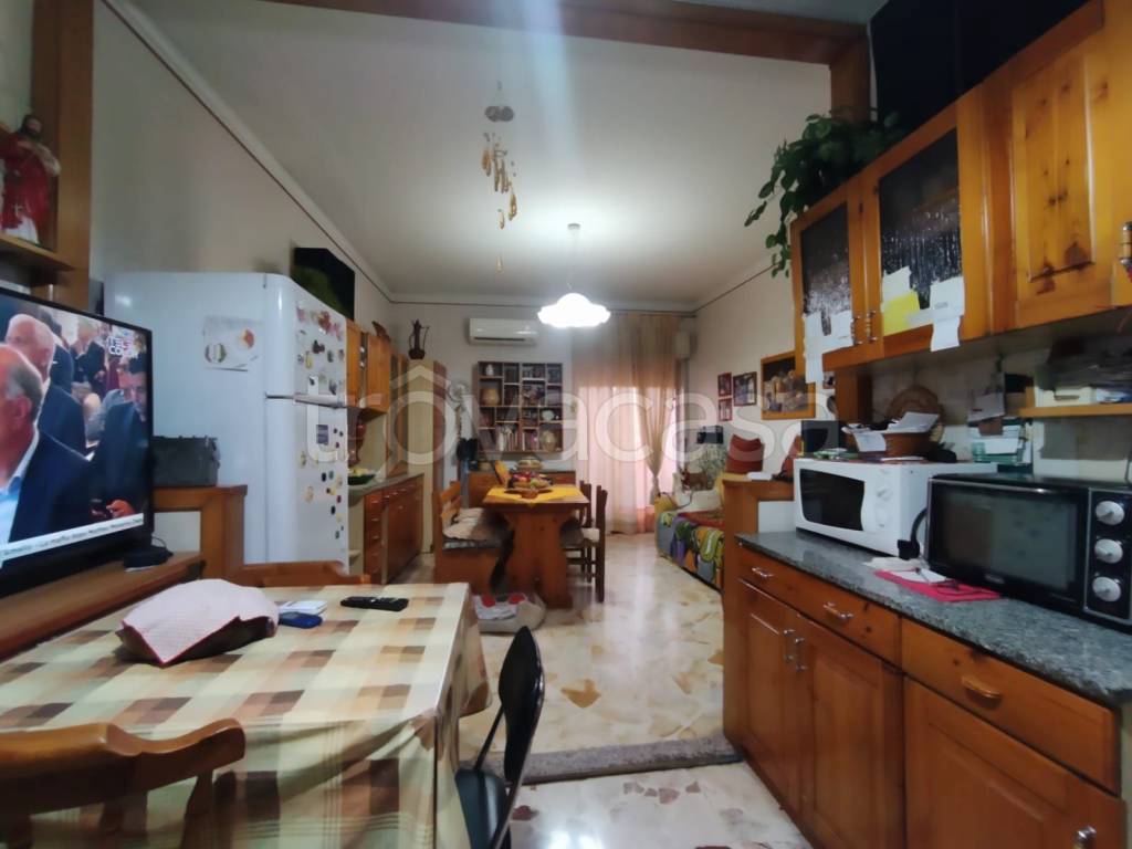 immagine annuncio 5 di 14