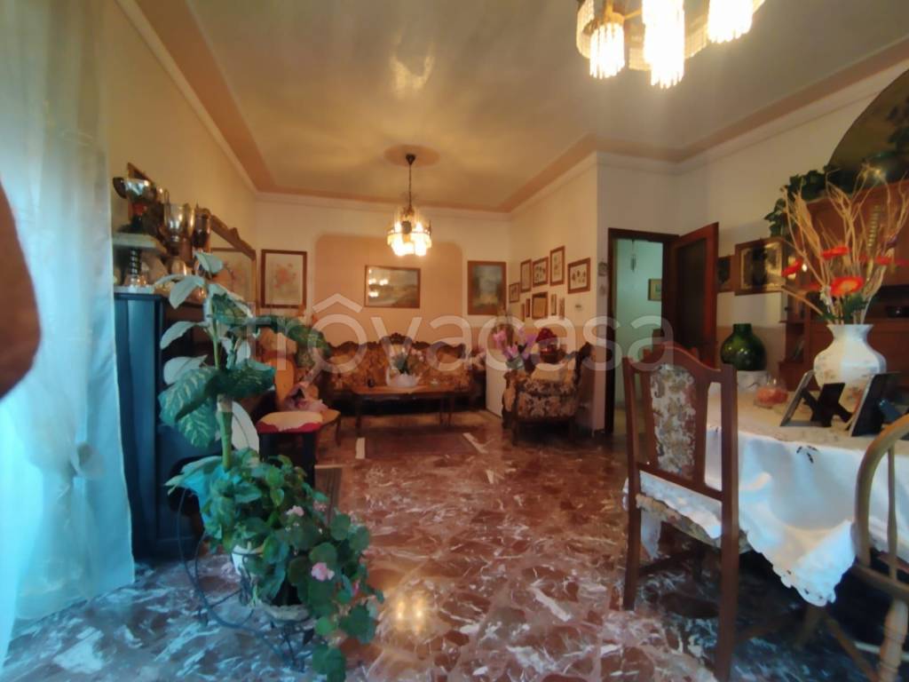 immagine annuncio 9 di 14