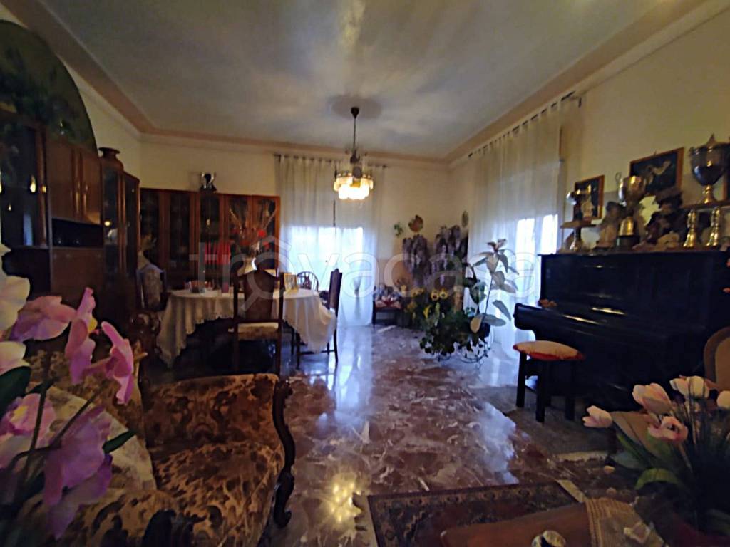 immagine annuncio 10 di 14