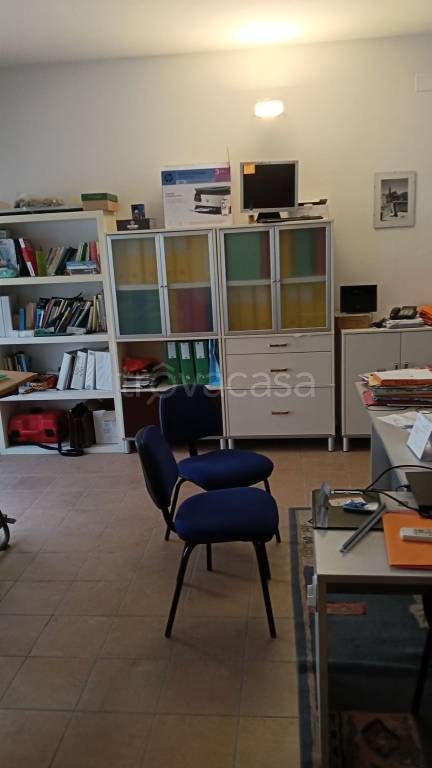immagine annuncio 4 di 14