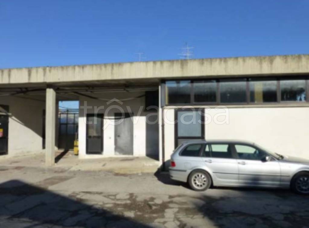 immagine annuncio 5 di 11