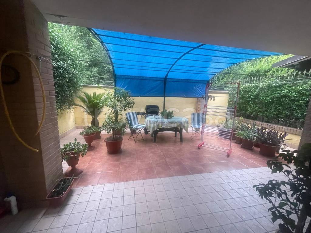 immagine annuncio 9 di 13