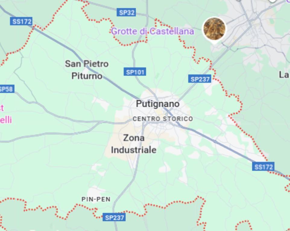 immagine annuncio 9 di 10