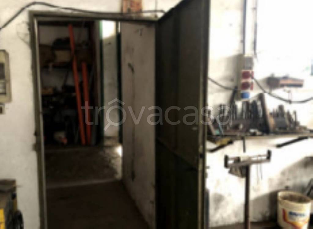 immagine annuncio 3 di 12