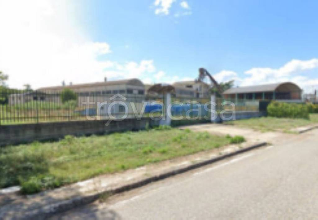 immagine annuncio 6 di 12