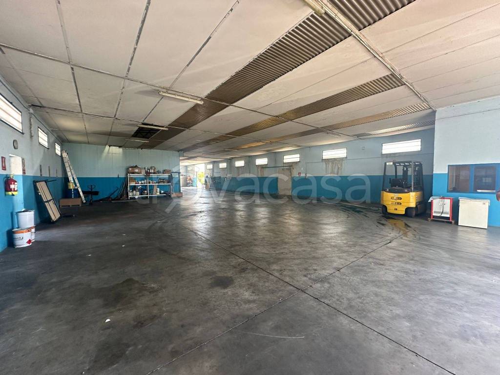 immagine annuncio 8 di 15