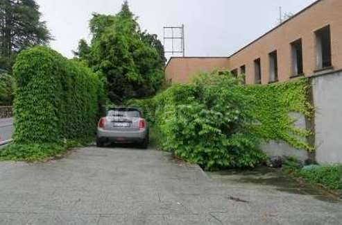 immagine annuncio 11 di 14