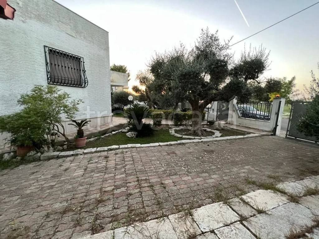 immagine annuncio 8 di 12