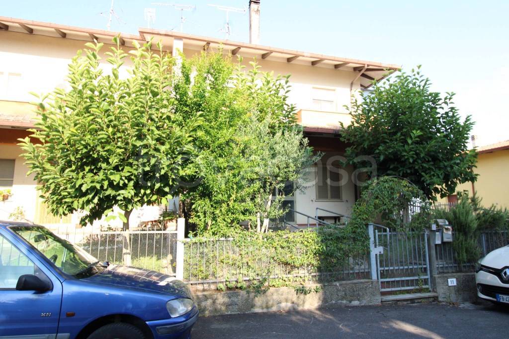 immagine annuncio 1 di 12