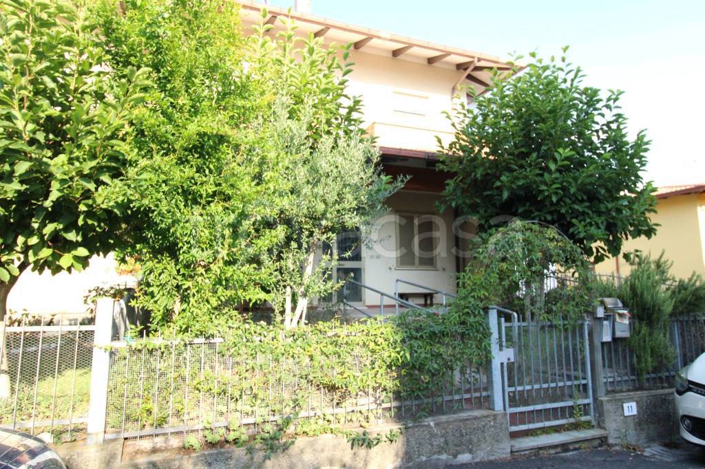 immagine annuncio 2 di 12