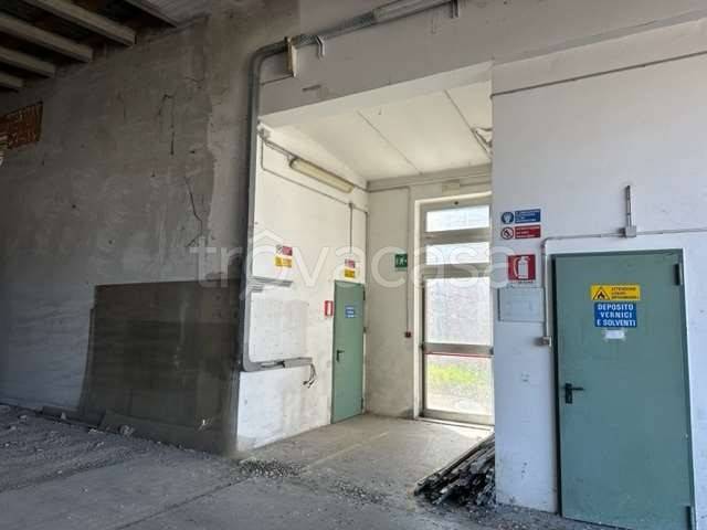 immagine annuncio 5 di 11