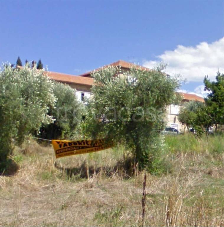 immagine annuncio 3 di 11