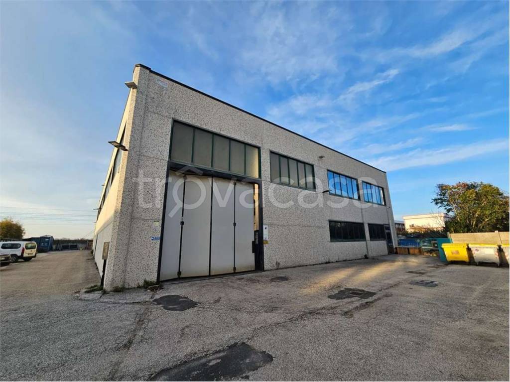 immagine annuncio 1 di 7