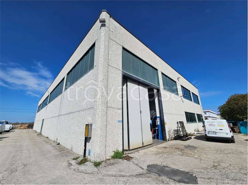 immagine annuncio 2 di 7