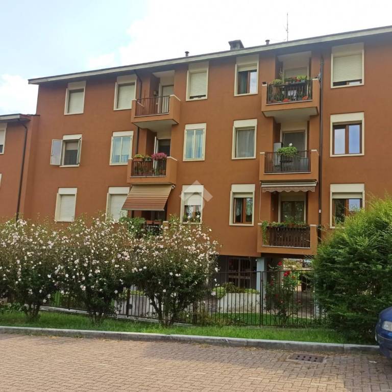 immagine annuncio 2 di 10