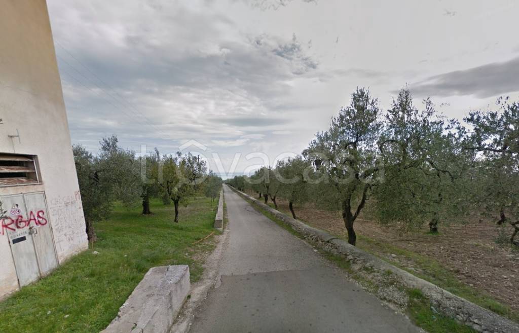 immagine annuncio 5 di 9