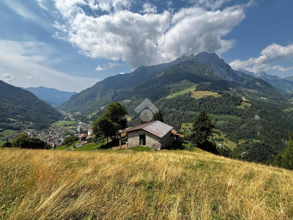 immagine annuncio 13 di 14