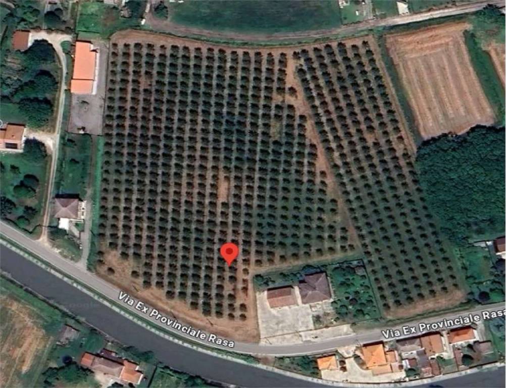 immagine annuncio 12 di 15