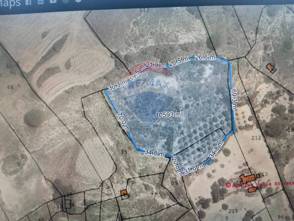 immagine annuncio 4 di 6