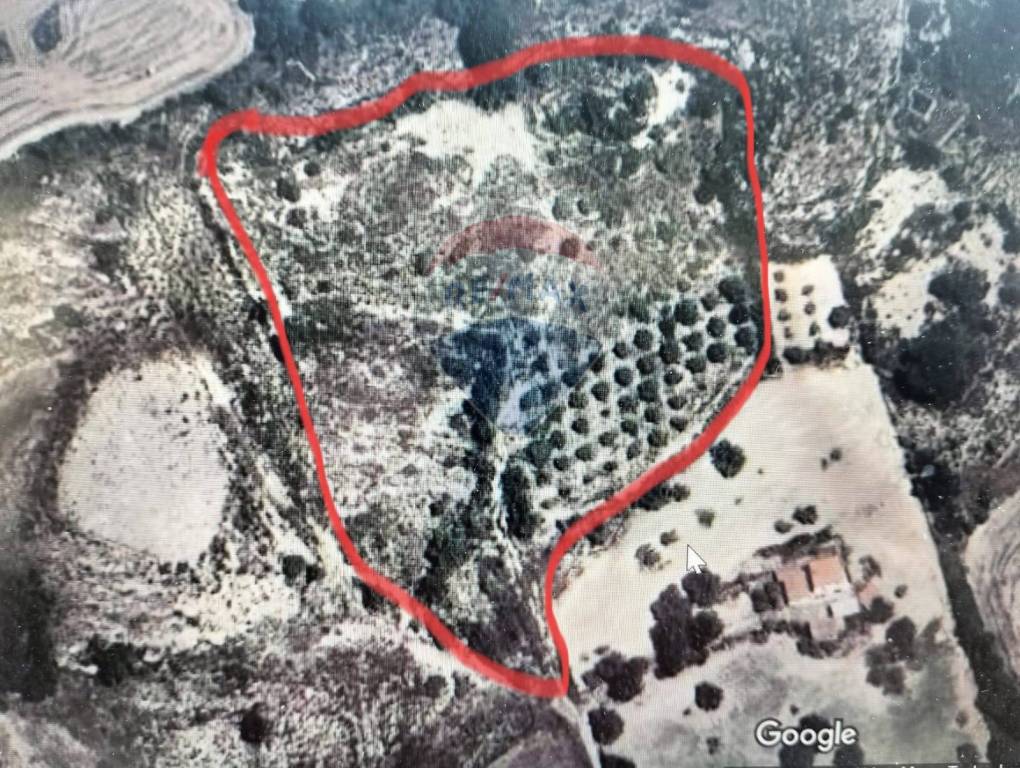 immagine annuncio 5 di 6