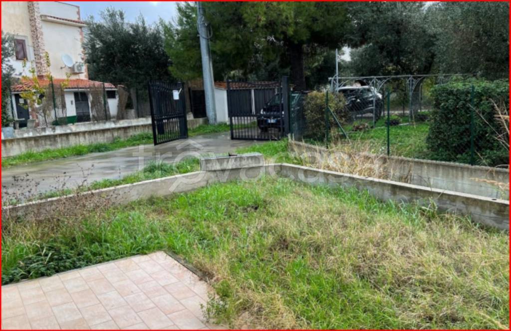 immagine annuncio 10 di 11