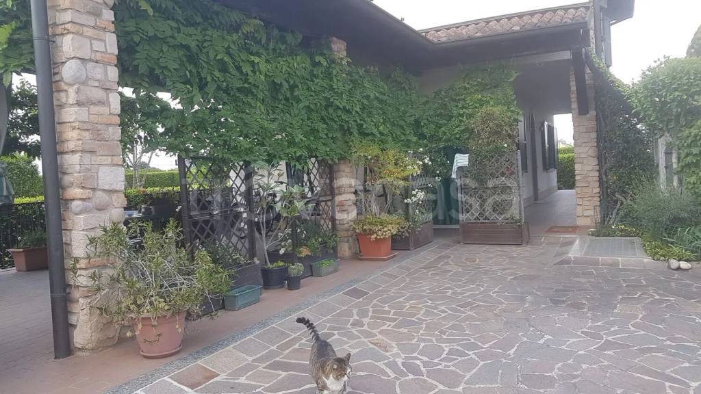 immagine annuncio 5 di 12