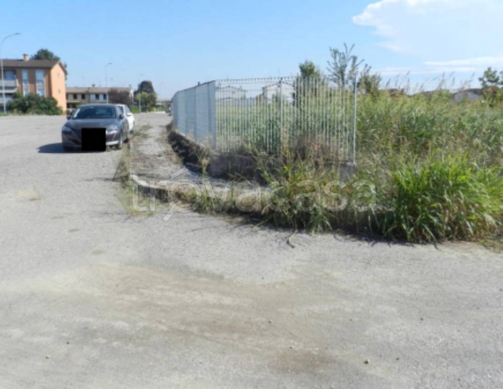 immagine annuncio 7 di 11