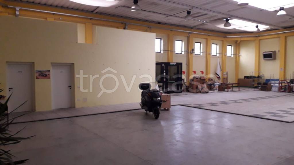 immagine annuncio 4 di 10