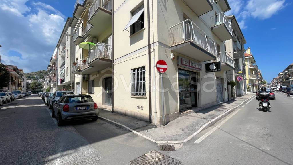 immagine annuncio 3 di 14