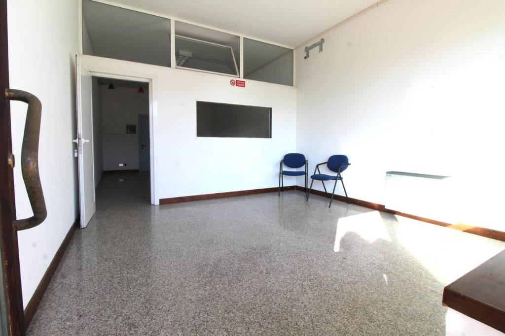 immagine annuncio 1 di 14