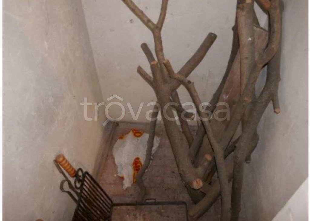 immagine annuncio 1 di 14